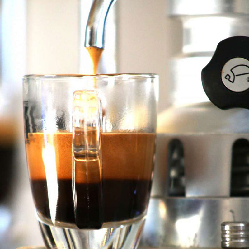 Bacchi caffemotive Espressomaschine